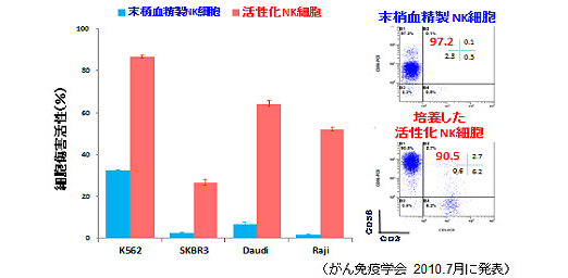 NK細胞活性