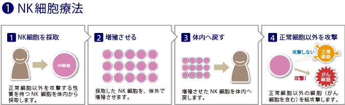 meneki-03a